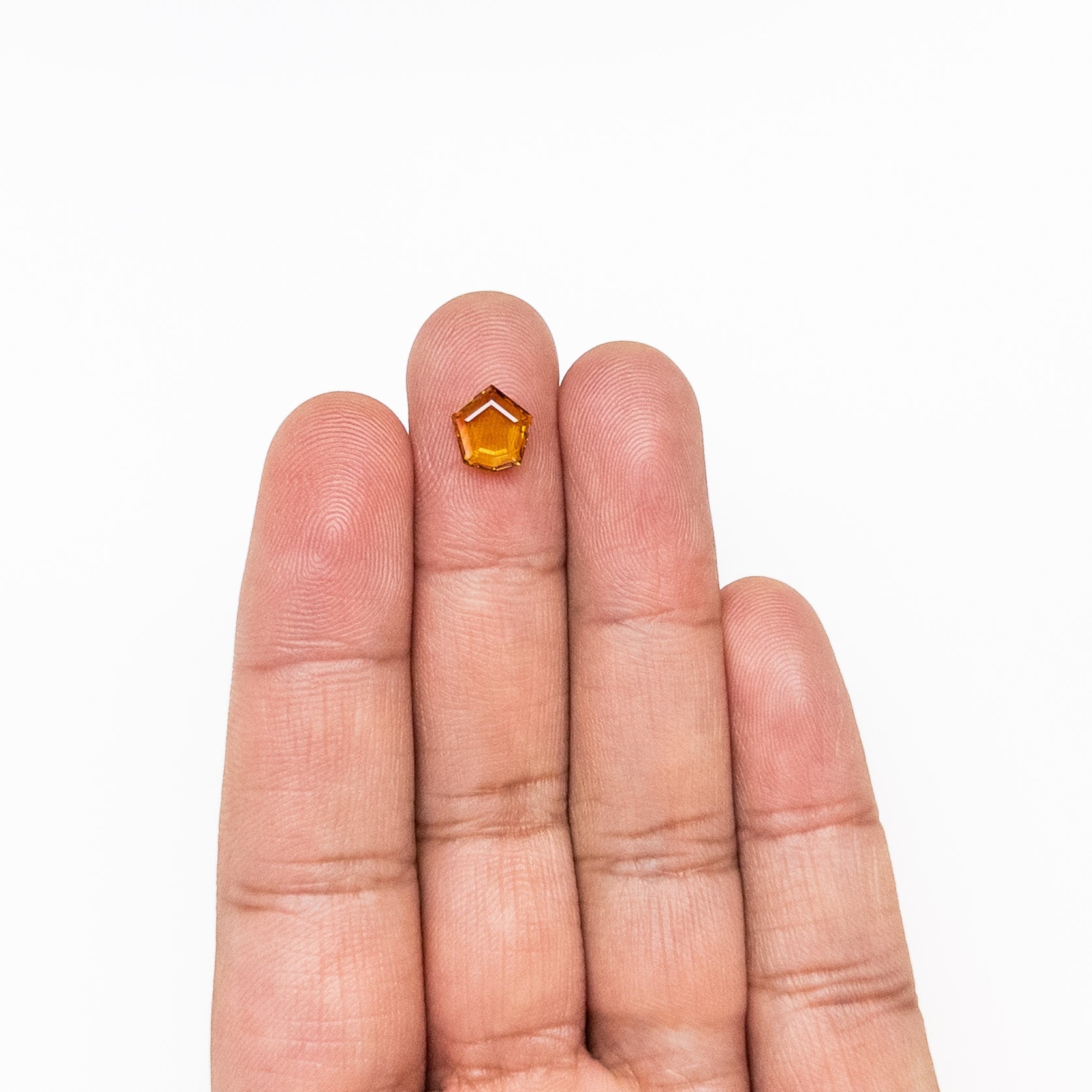 1.78ct 8.21x7.74x2.72mm Shield Portrait Cut Sapphire 23469-44