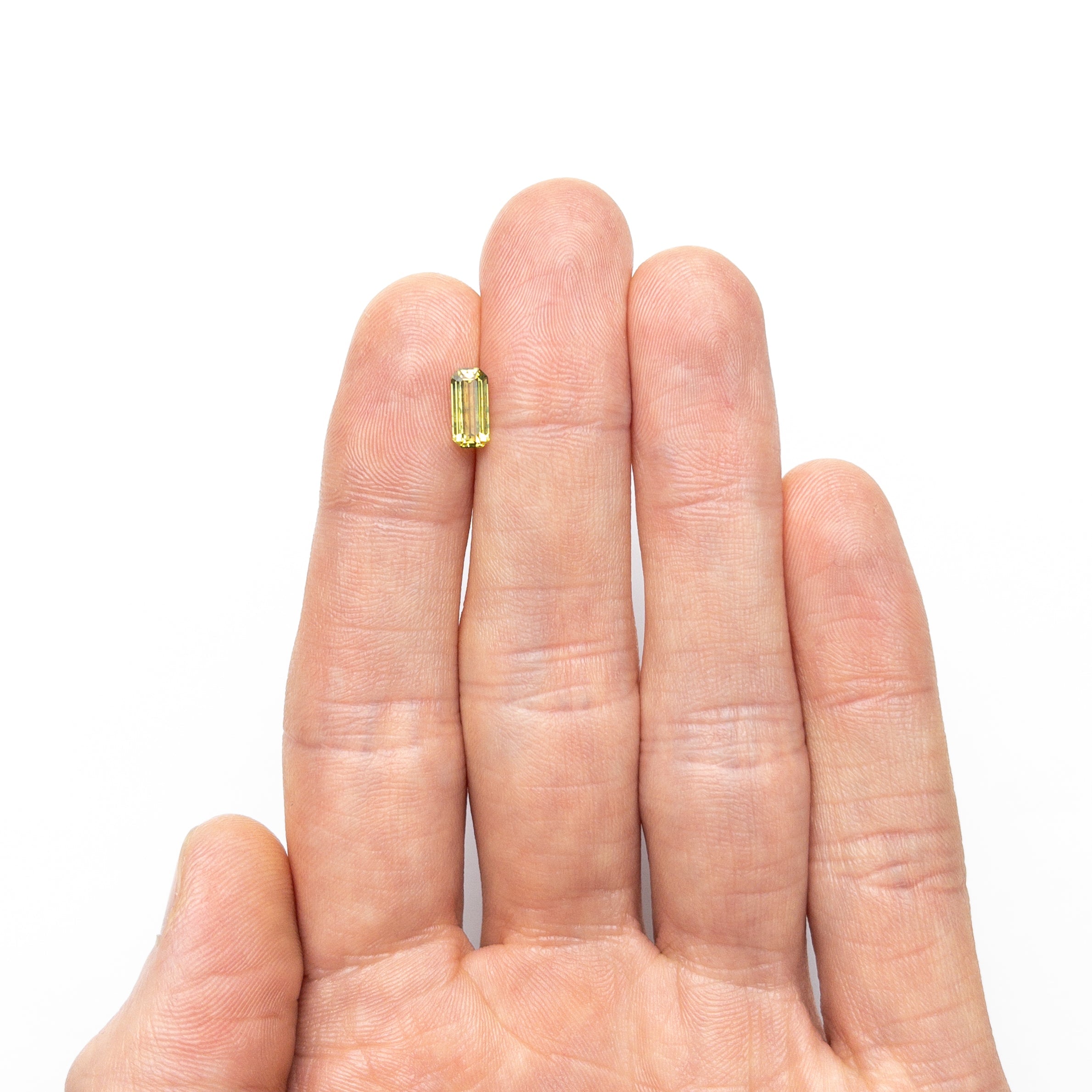 unique-id-8a73e704-17a9-449e-85df-6b3c5a52010f