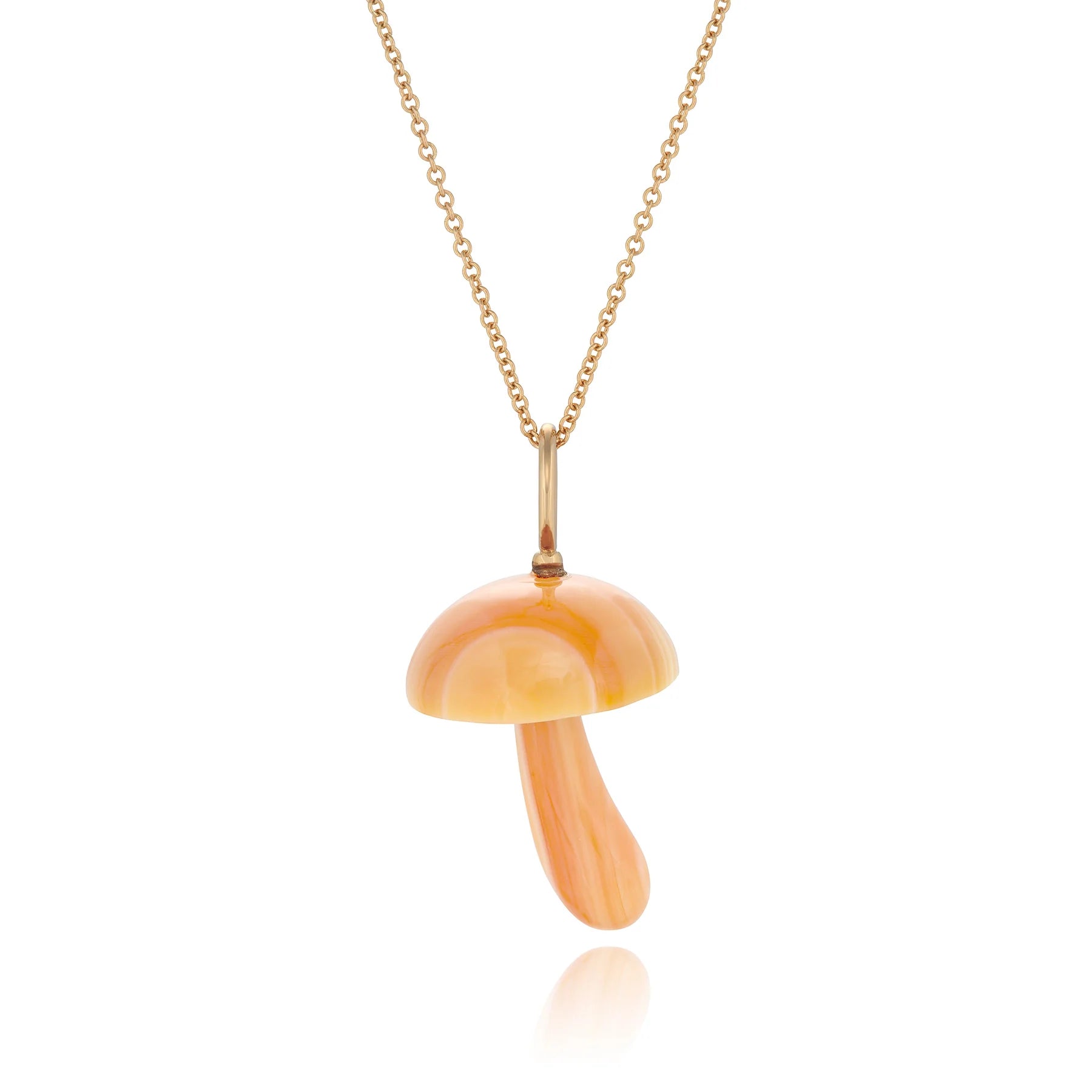 Apricot Conch Shell Mushroom — Maura Green Trunk Show