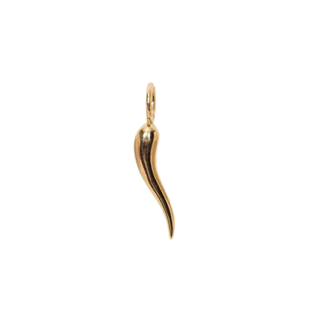 14K Gold Cornicello Charm — Charm + Chain Trunk Show