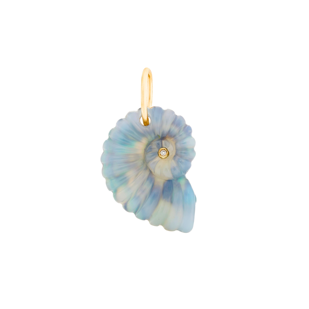 Small Luminescent Ammonite — Maura Green Trunk Show