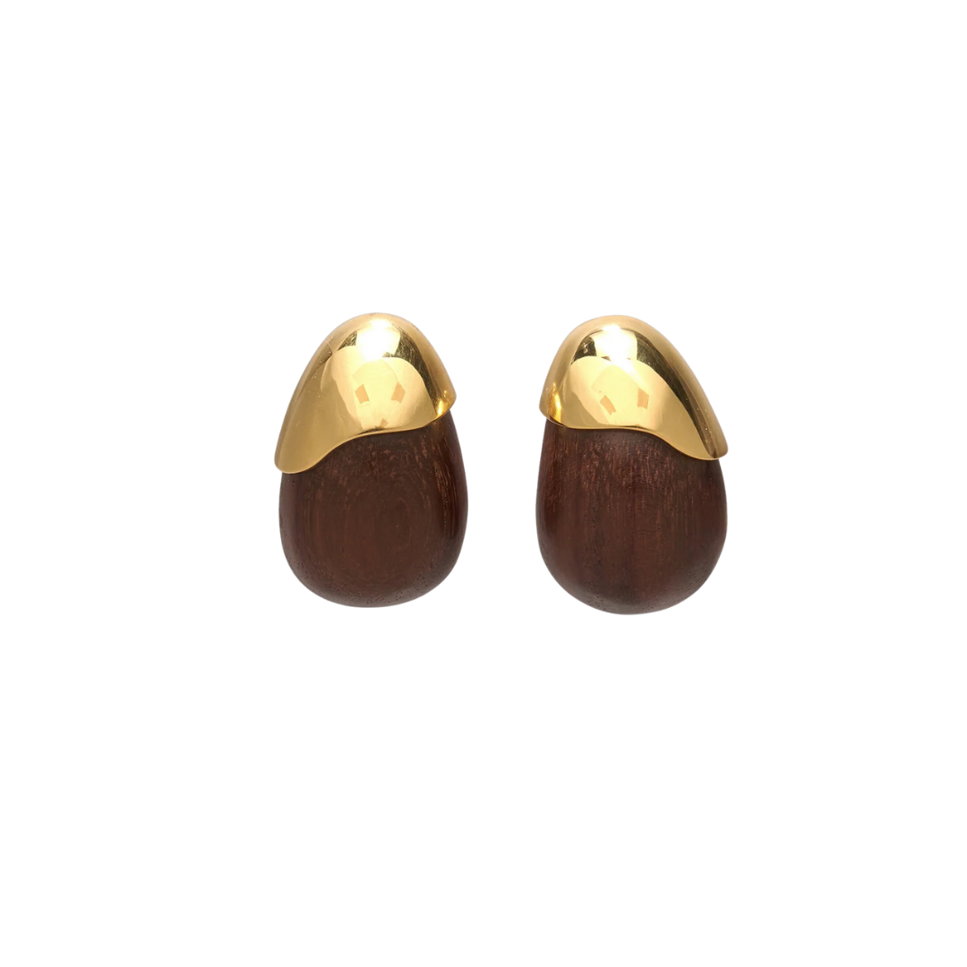 Toro Earrings