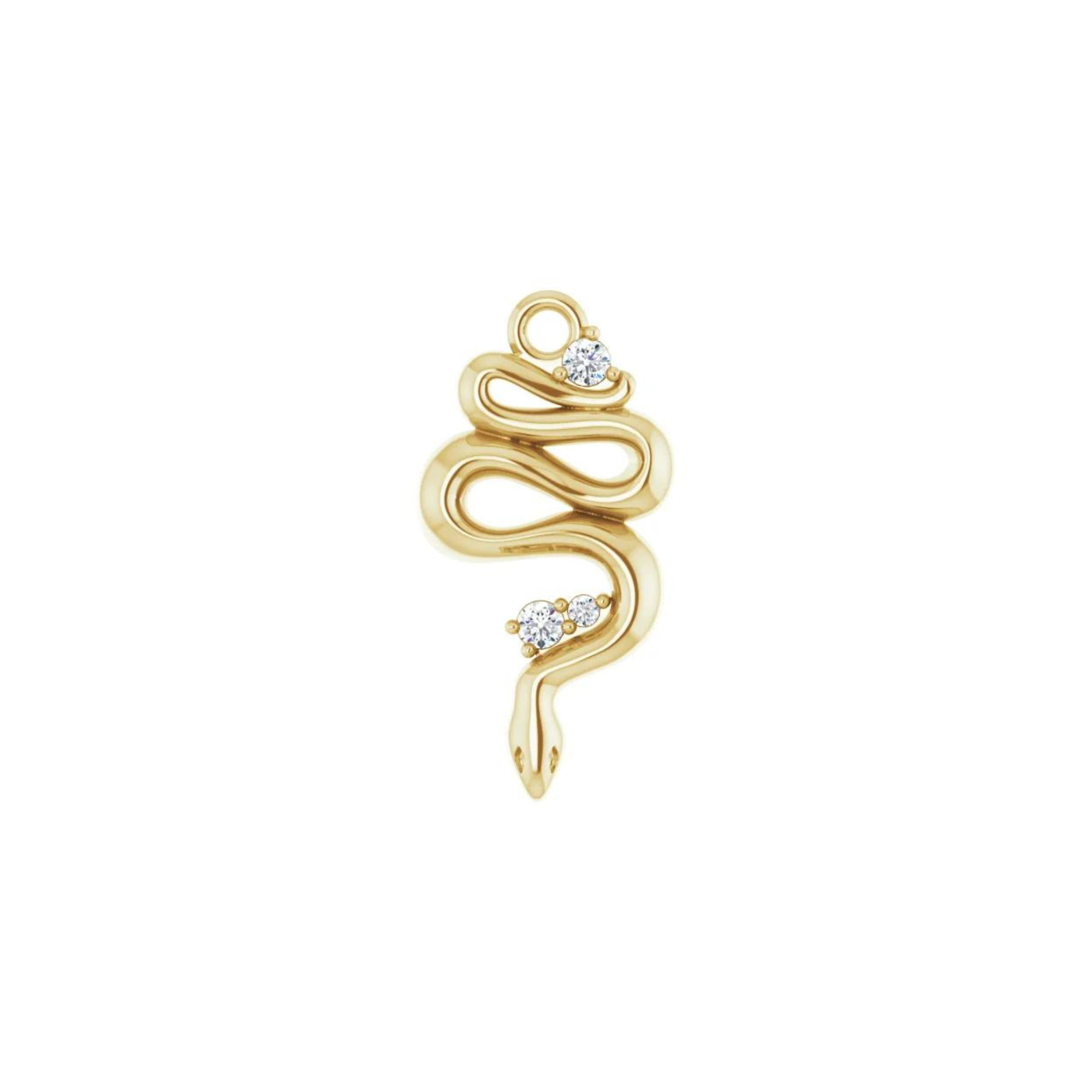 Diamond Serpent Charm