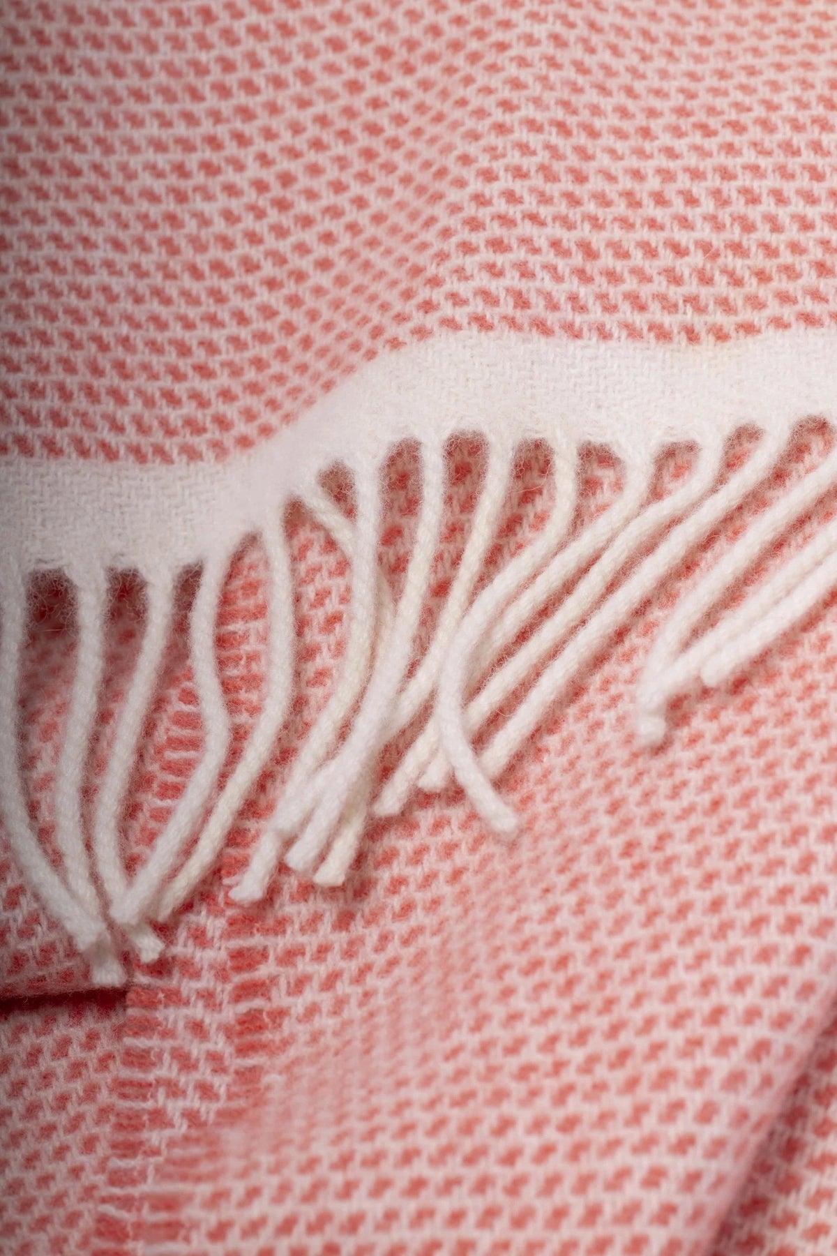 Merino Lambswool Duiske Scarf - Coral
