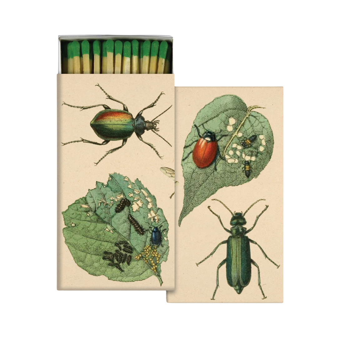 Munching Insects Matches