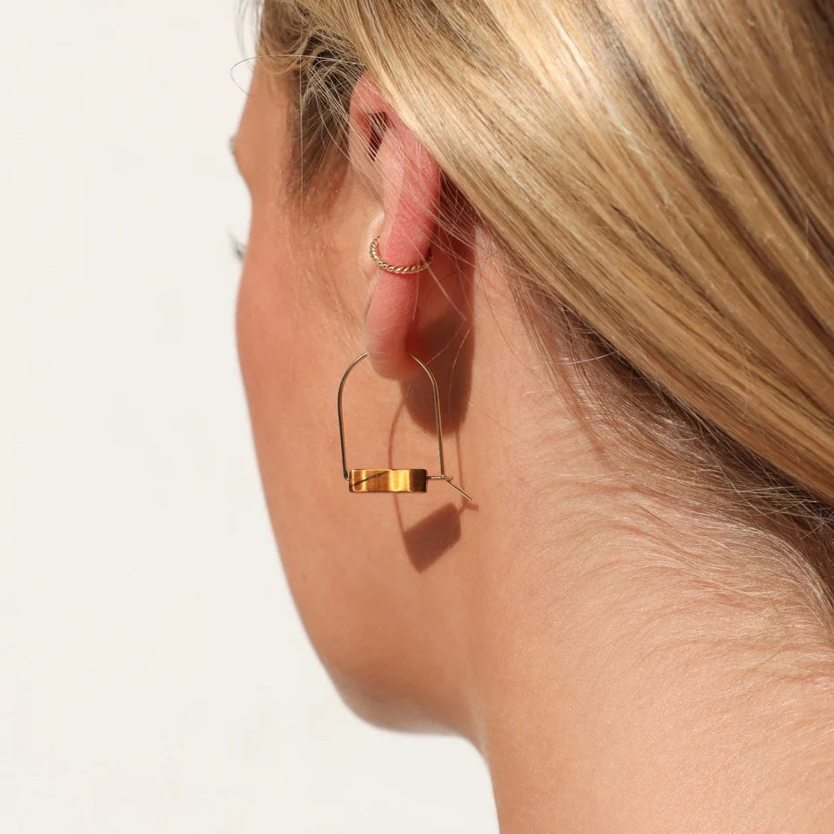 Tiger's Eye Arches Earrings