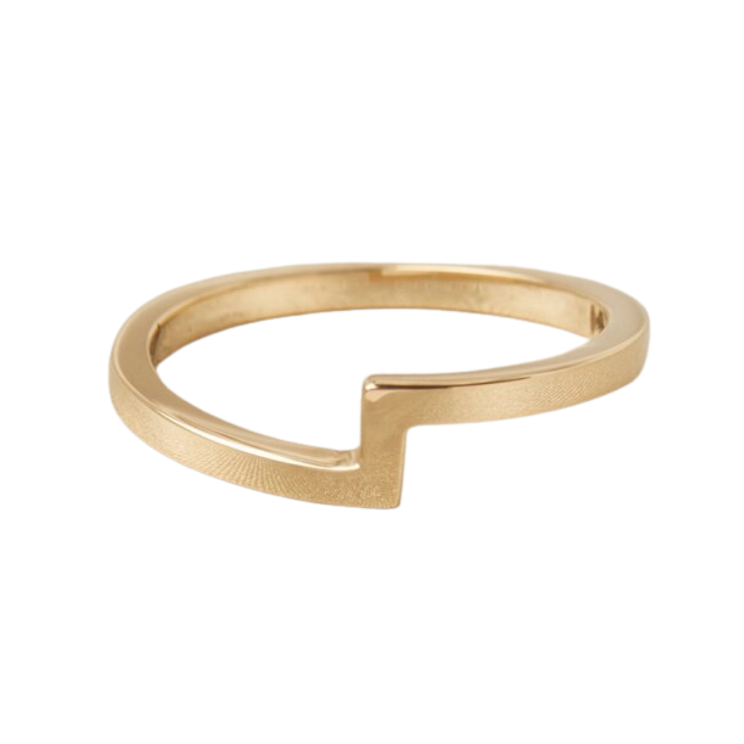 Plain Dylan Band — Lindsay Lewis Trunk Show