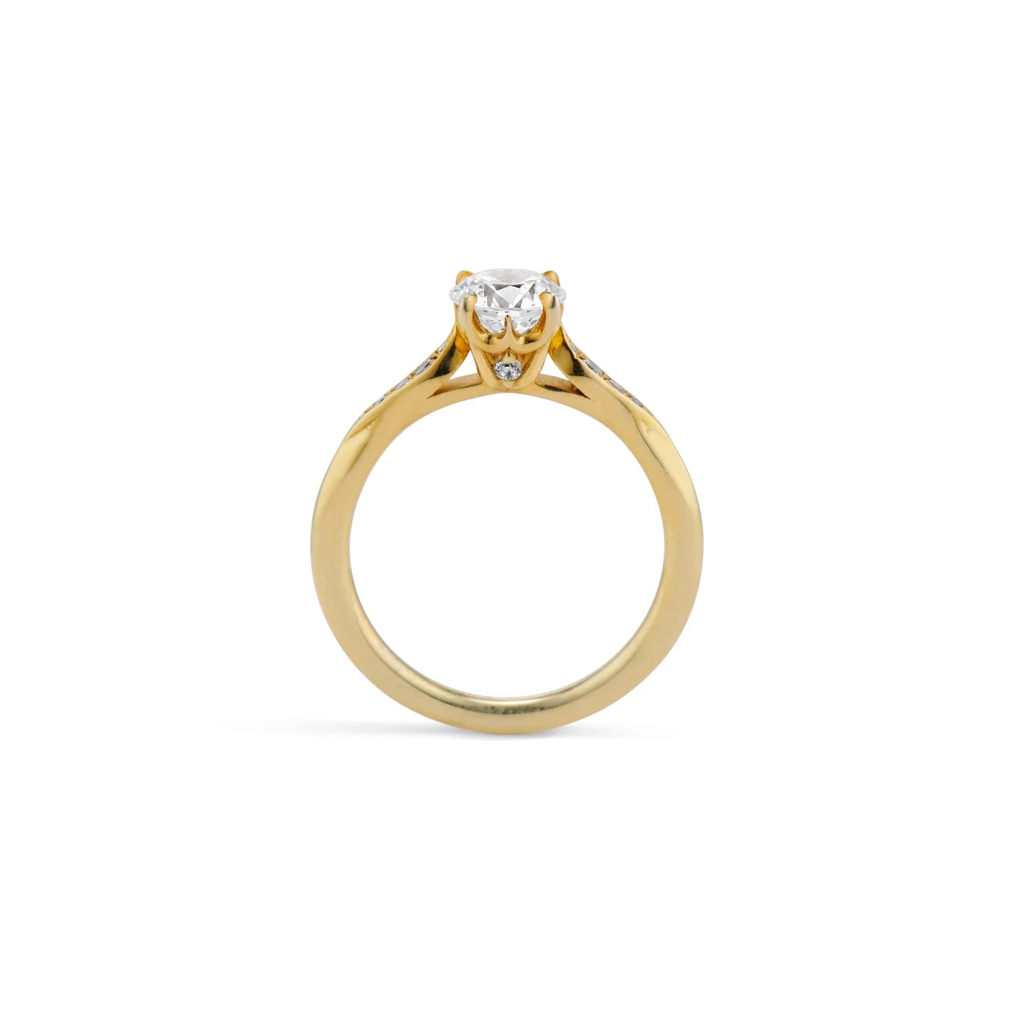 Entranced Ring — Commitment, Curated