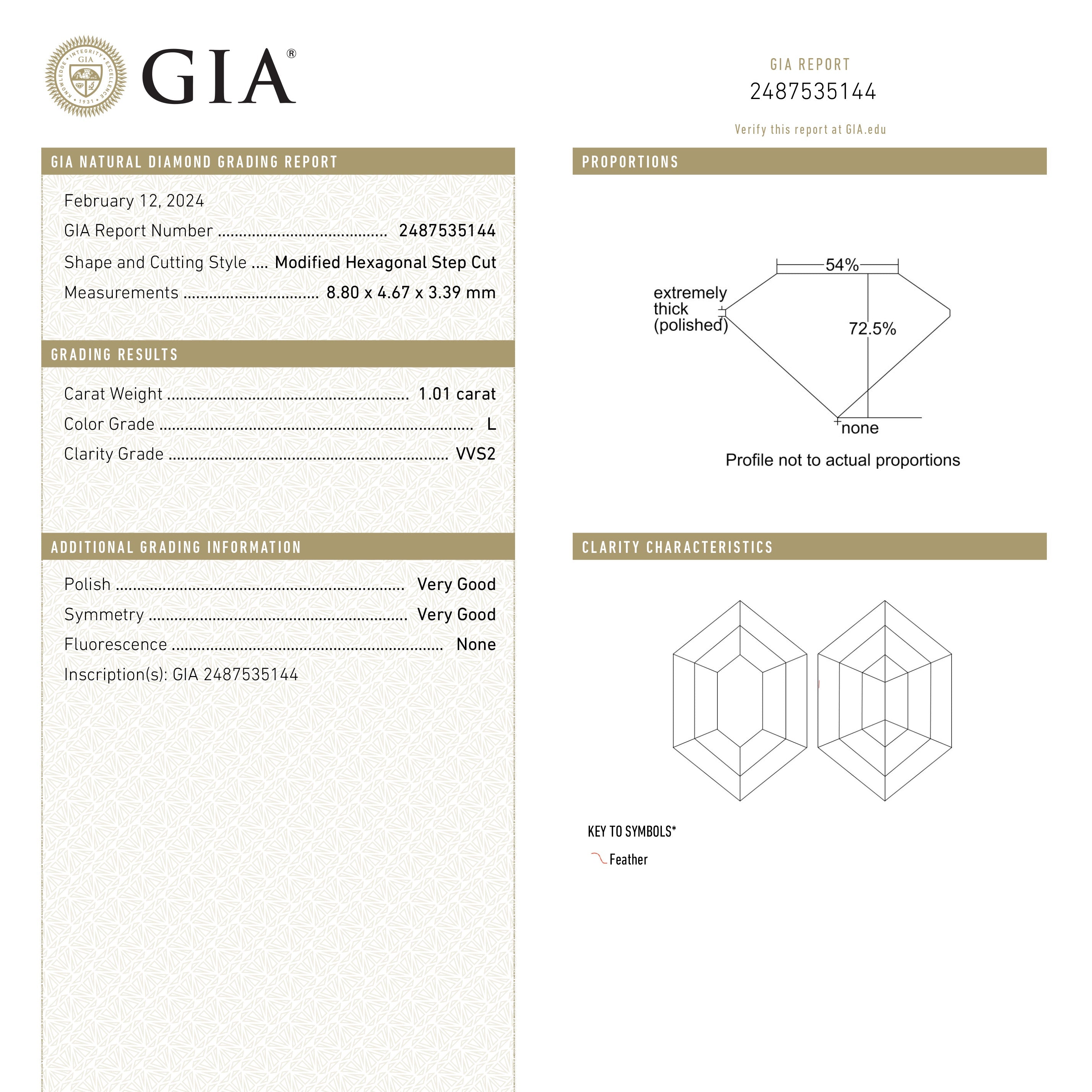 1.01ct 8.80x4.67x3.39mm GIA VVS2 L Hexagon Step Cut 25078-01