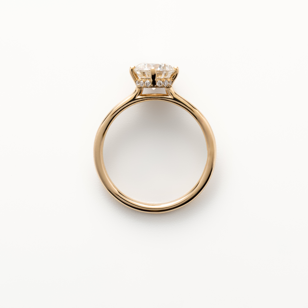 Commitment Collection: Zinnia Halo