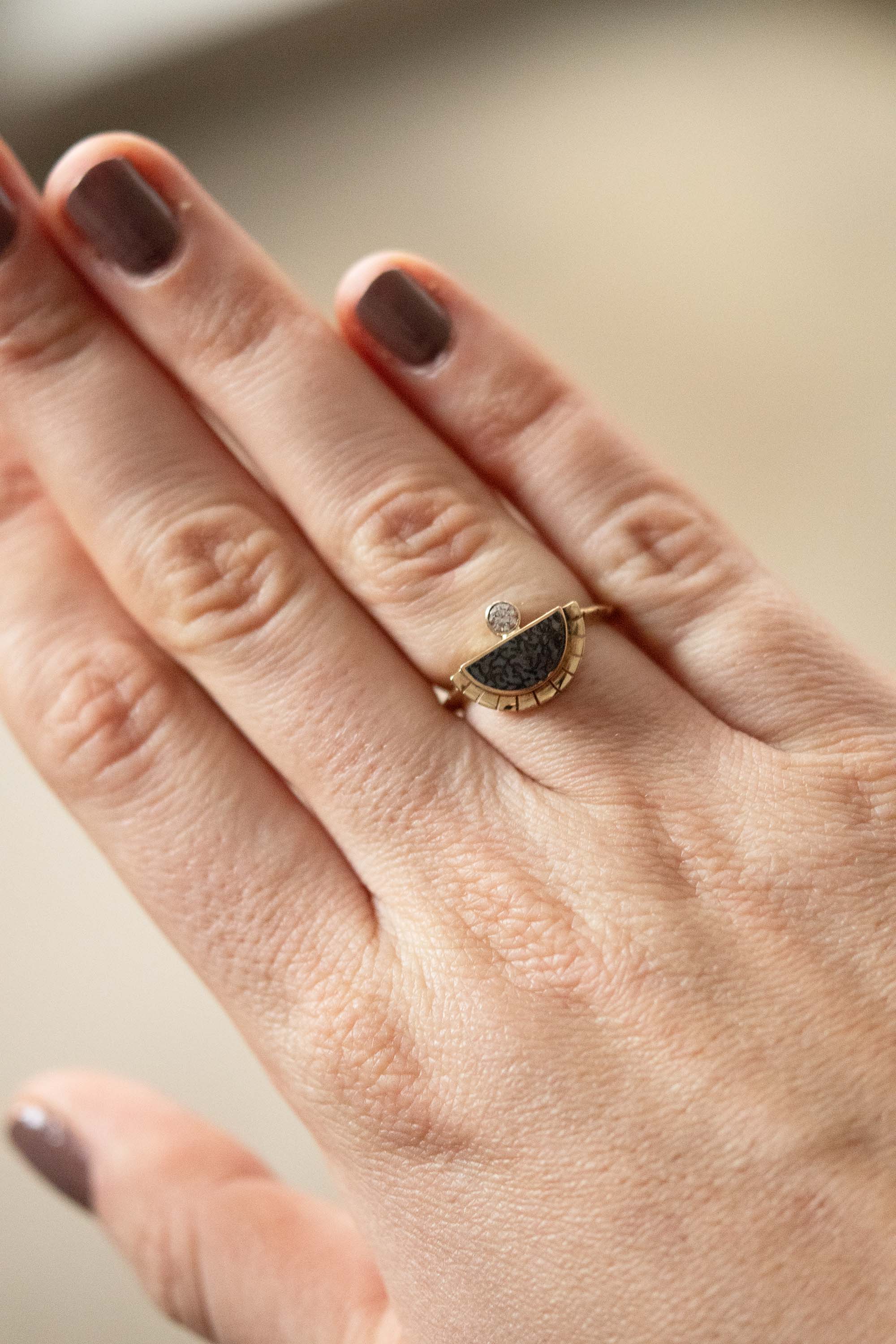 Fossilized Dinosaur Bone Solstice Ring — Young in the Mountains Trunk Show