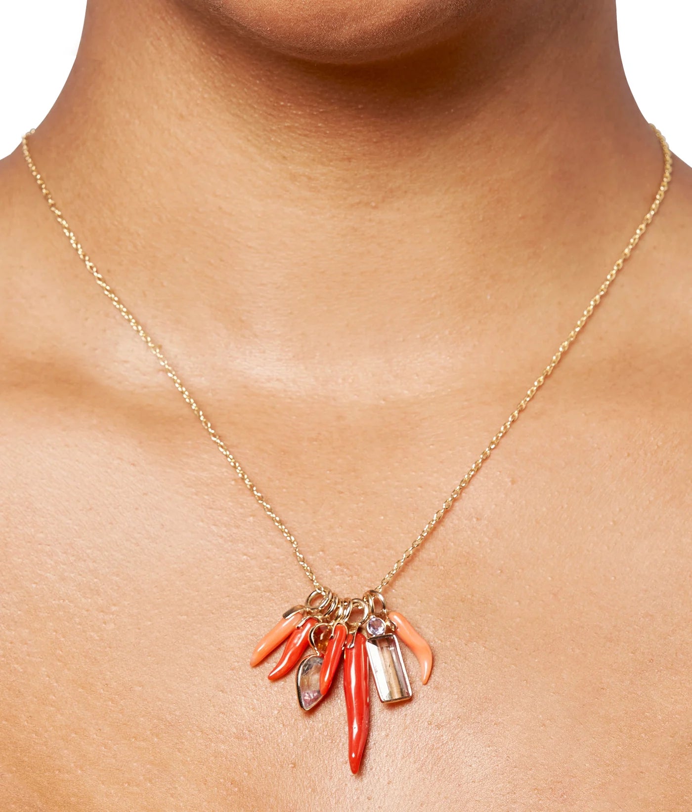 Dark Red Long Coral Horn Charm — Charm + Chain Trunk Show