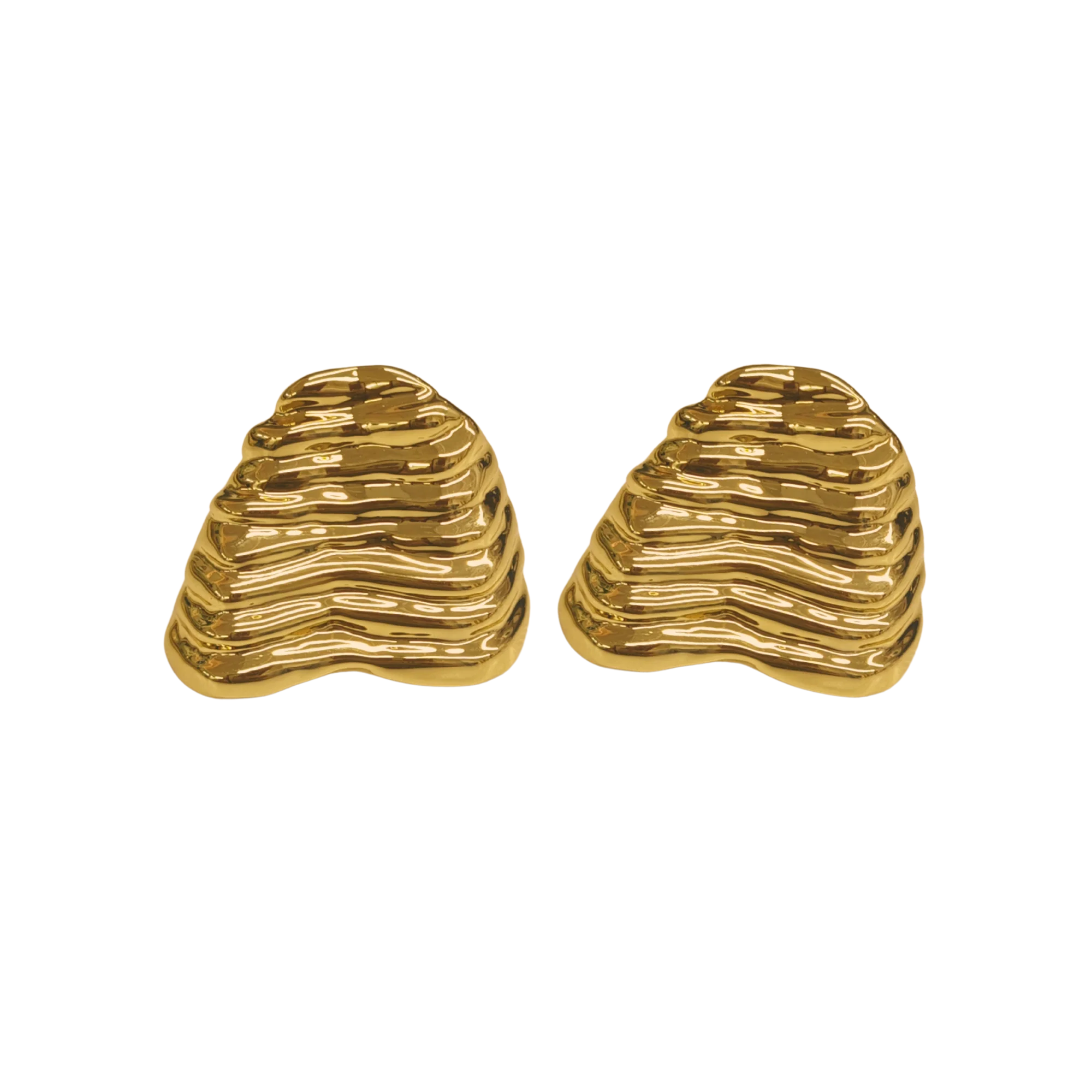Fluted Shell Earrings
