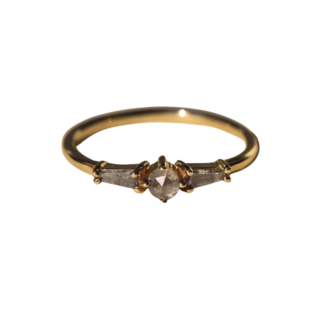 Augusta Ring - Salt and Pepper — Lindsay Lewis Trunk Show