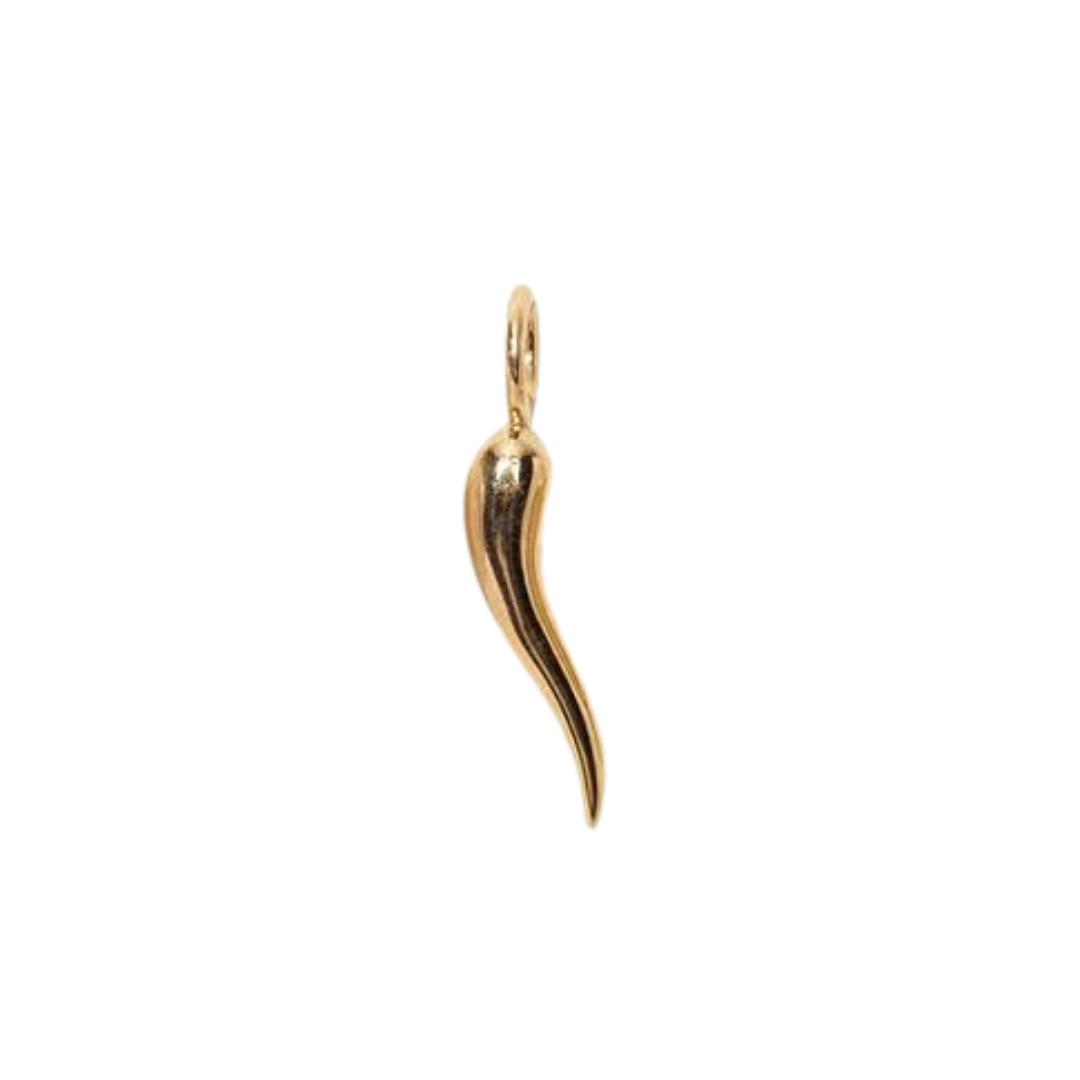 14K Gold Cornicello Necklace Charm