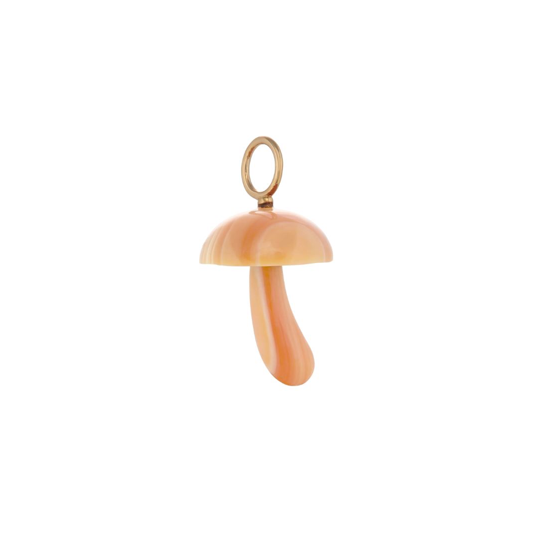Apricot Conch Shell Mushroom — Maura Green Trunk Show