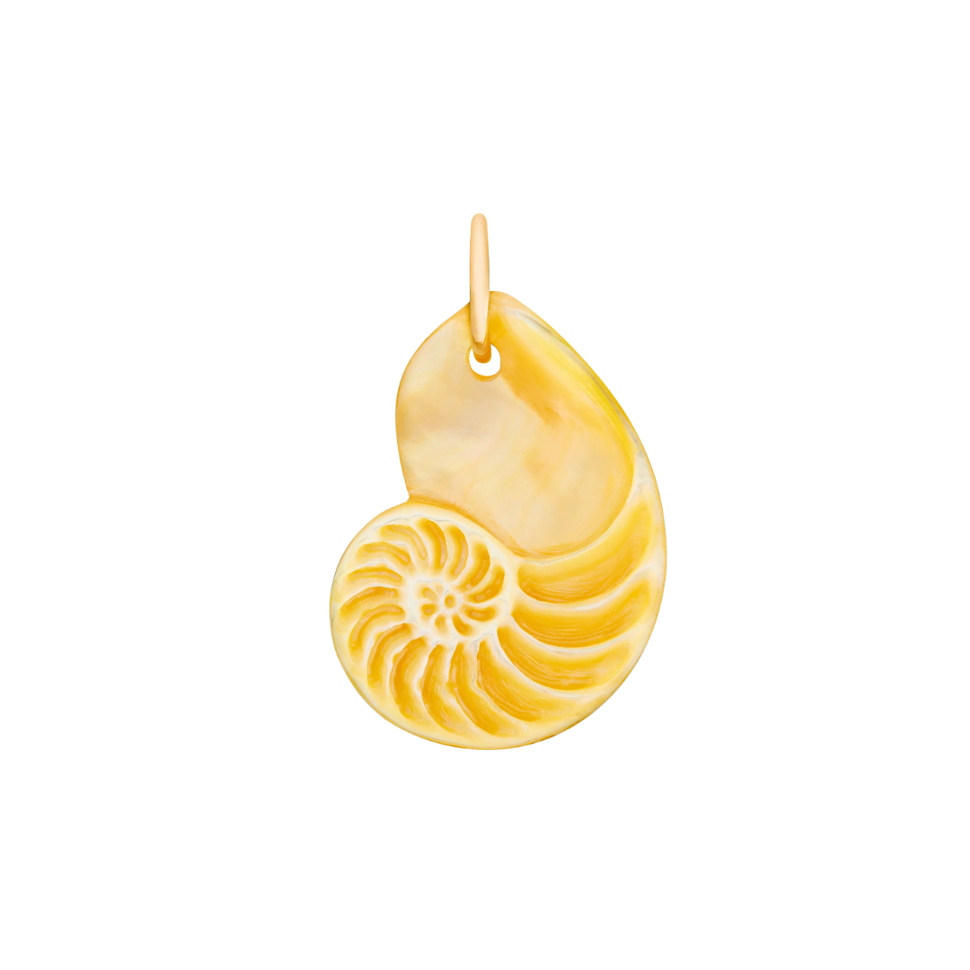 Golden Nautilus — Maura Green Trunk Show
