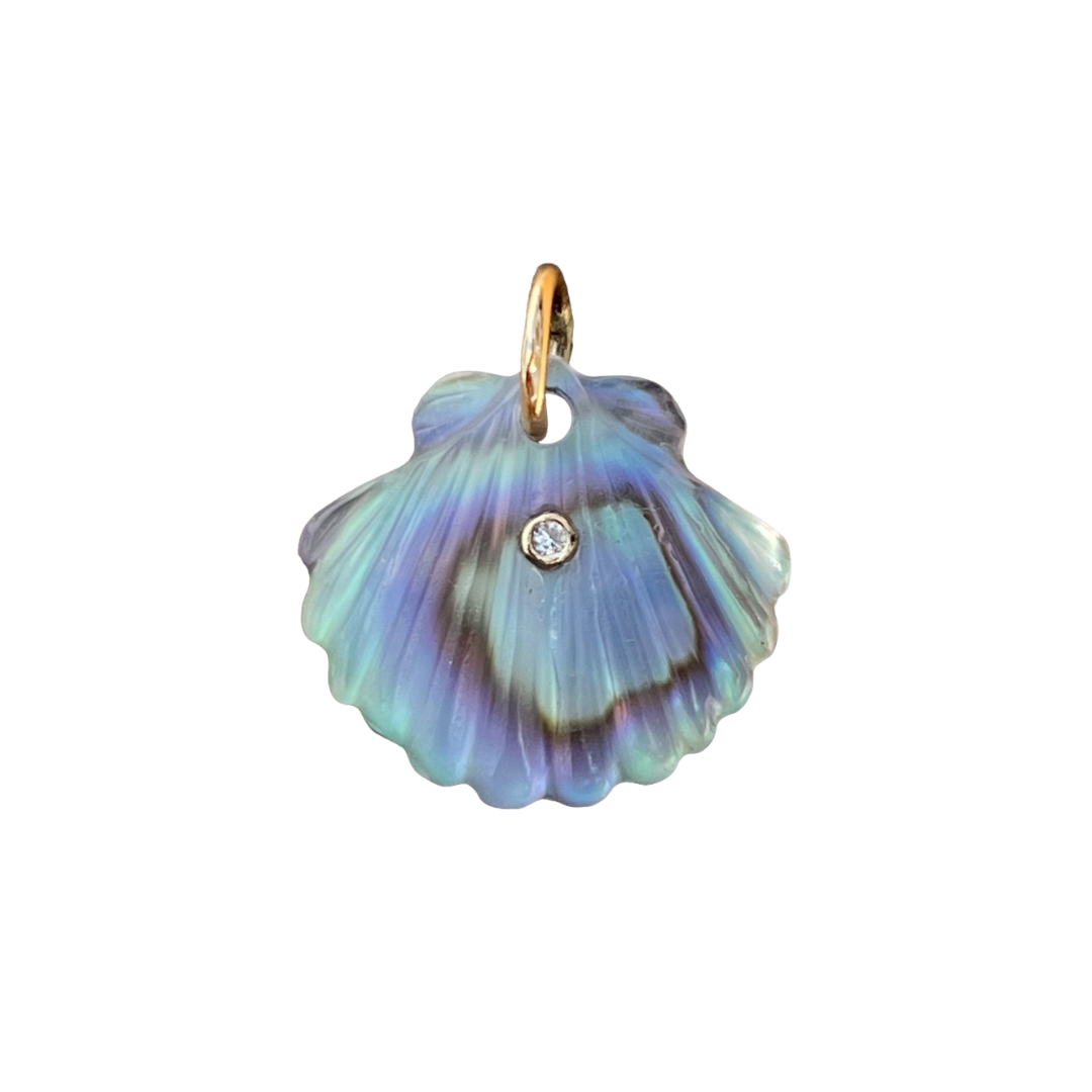 Luminescent Scallop Shell with Diamond