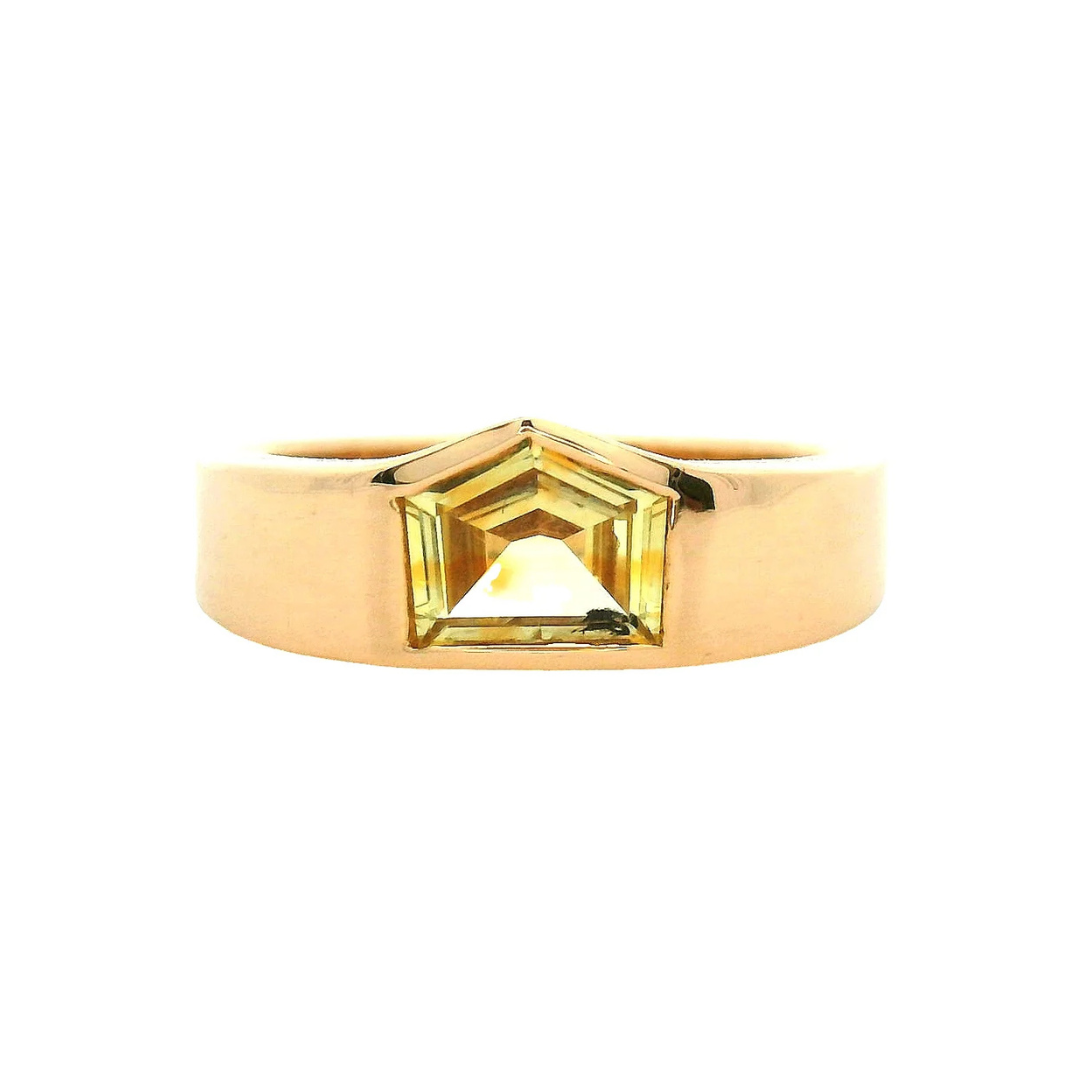 Kisei Signet Ring — Young in the Mountains Residency